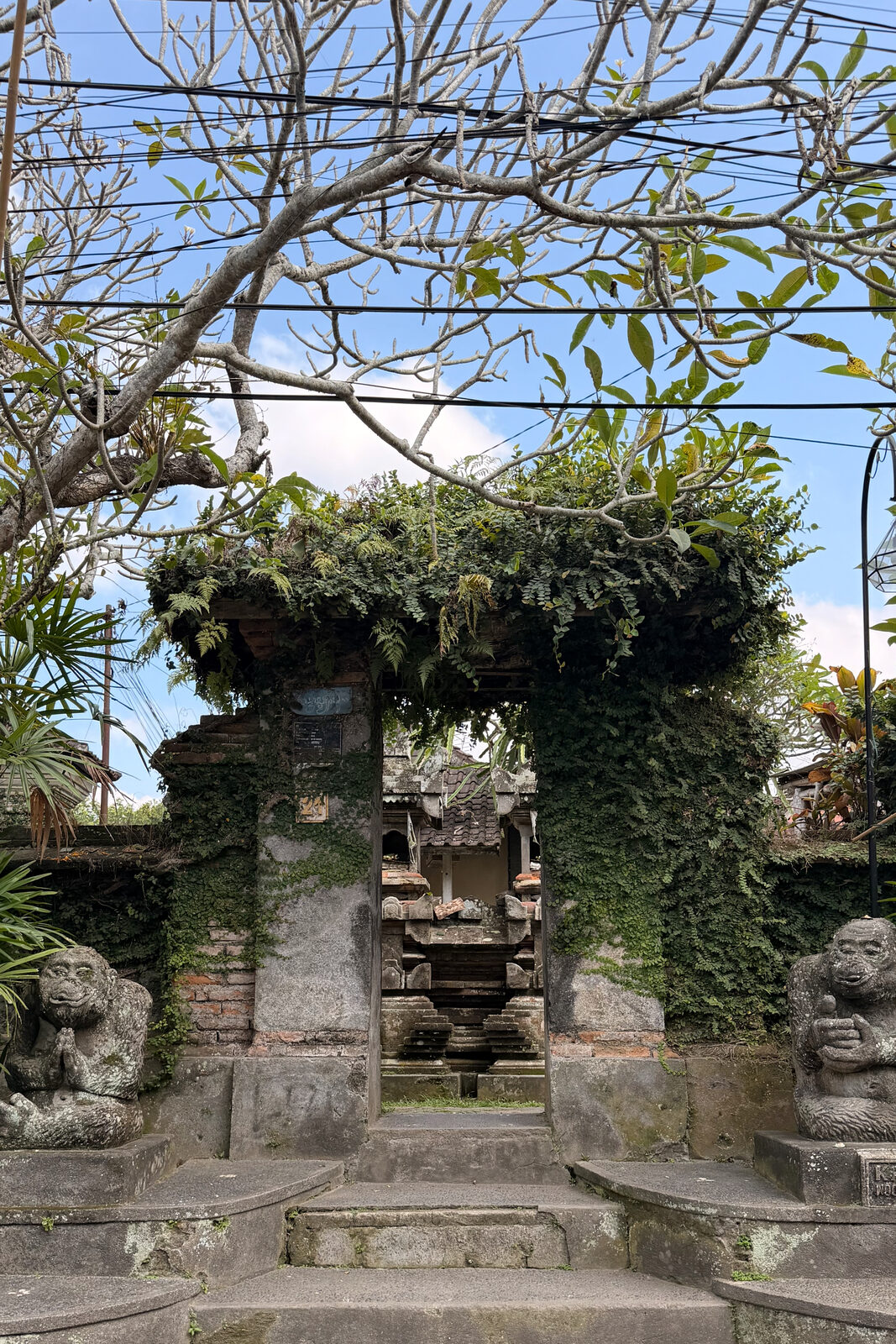An old gate overgrown with ferns, guarded by two stone monkeys.