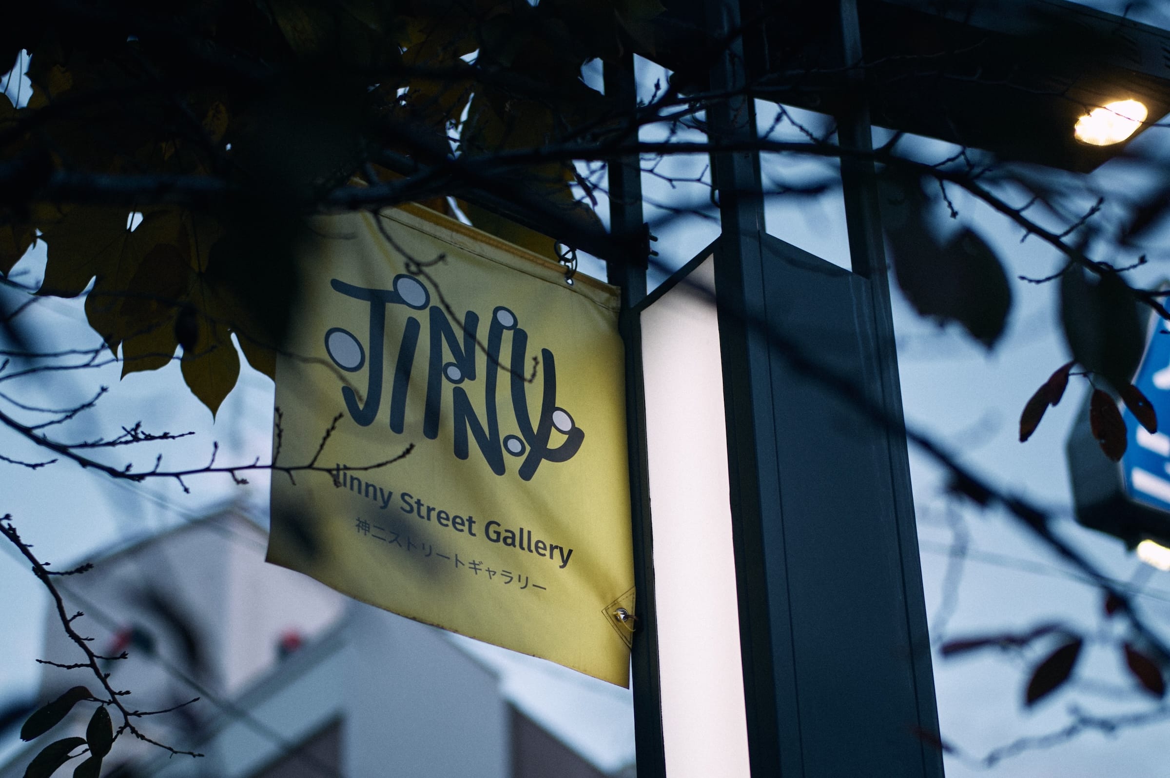 Jinny flag on top of street lamp #1